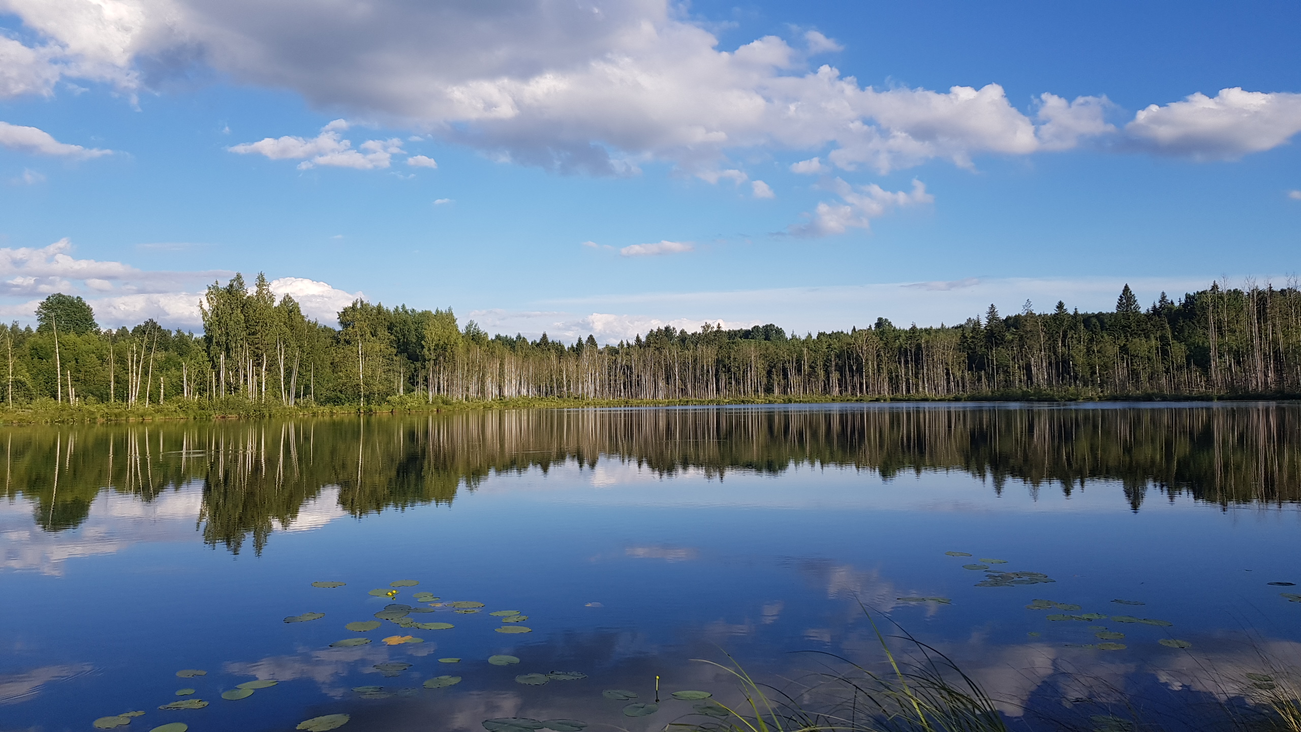 Kukalis Amatas izteka